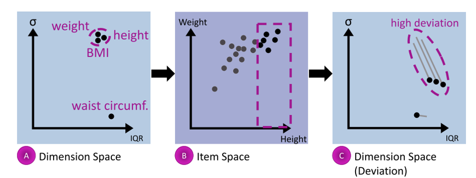 Dual Analysis Framework
